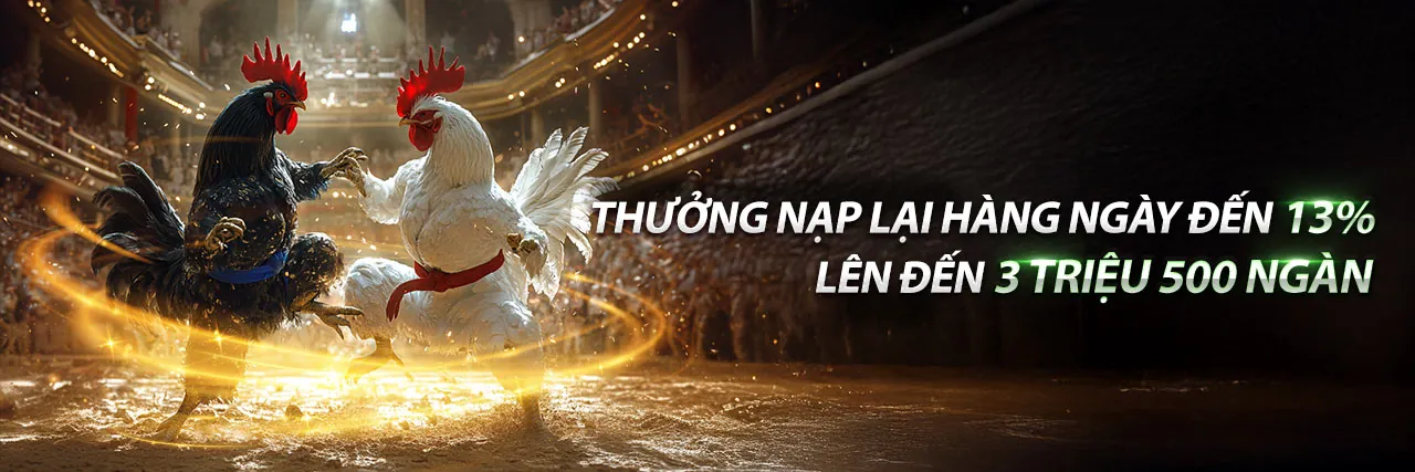 Các chương trình khuyến mãi và tiền thưởng moto88
